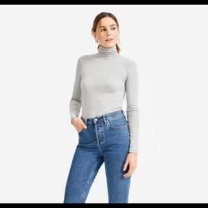 Everlane The Pima Micro-Rib Turtleneck NWT Size L